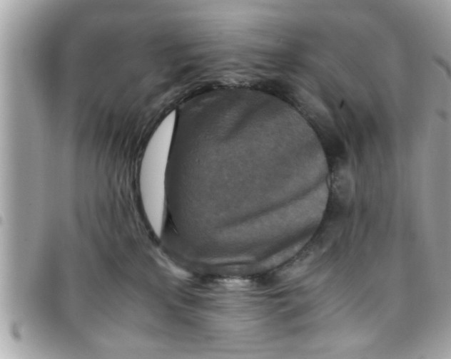 X0000097760233200803211721