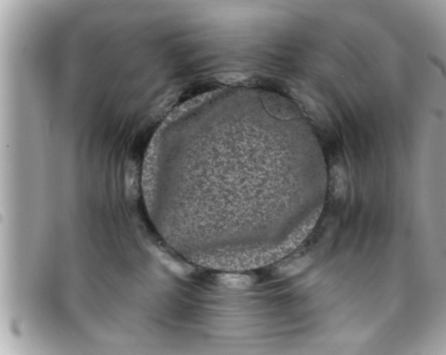 X0000097760234200803211721