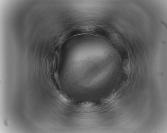 X0000097760235200803211721