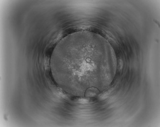 X0000097760236200803211721