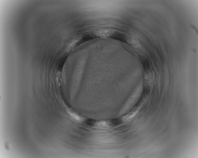 X0000097760237200803211721