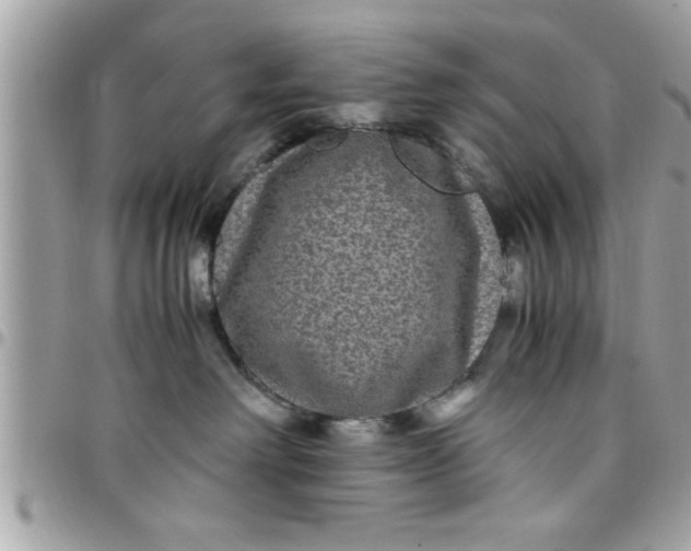 X0000097760238200803211721