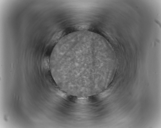 X0000097760240200803211721