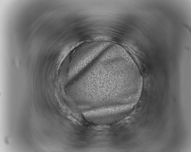 X0000097760241200803211720