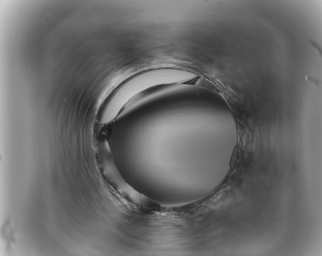 X0000097760244200803211720