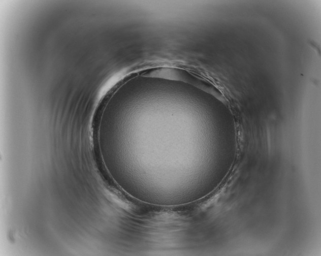 X0000097760246200803211720