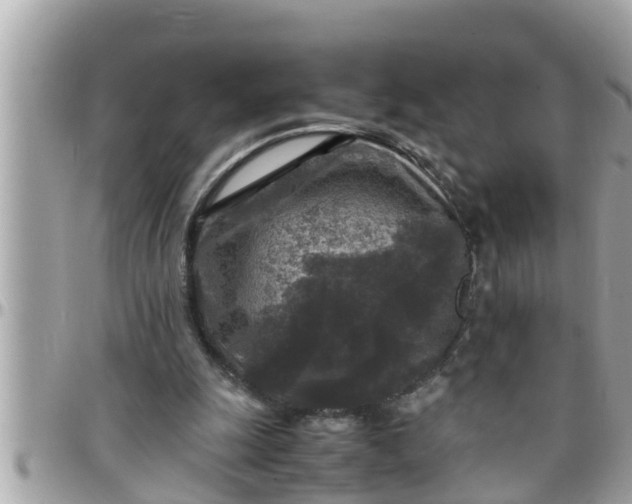 X0000097760247200803211720