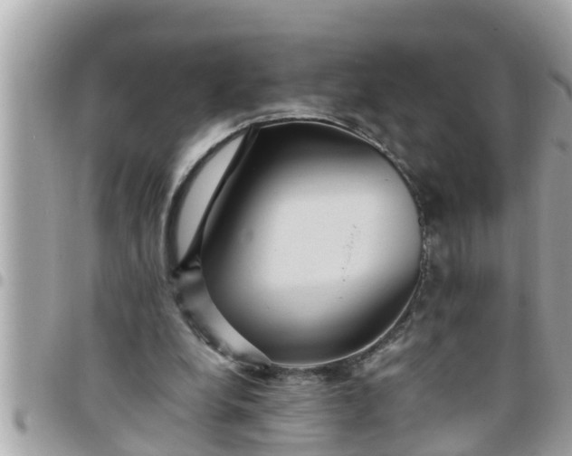 X0000097760248200803211720