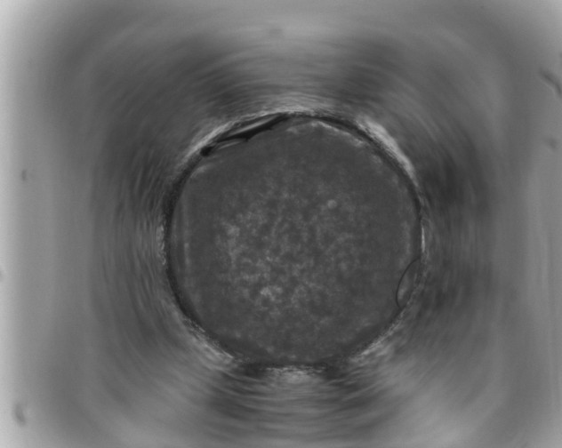 X0000097760249200803211720