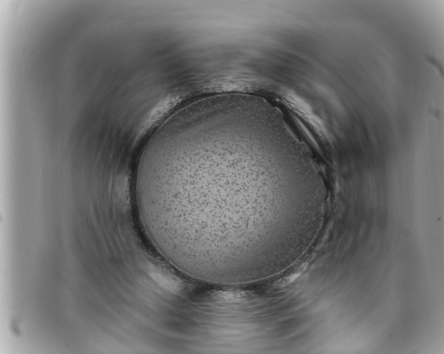 X0000097760250200803211720