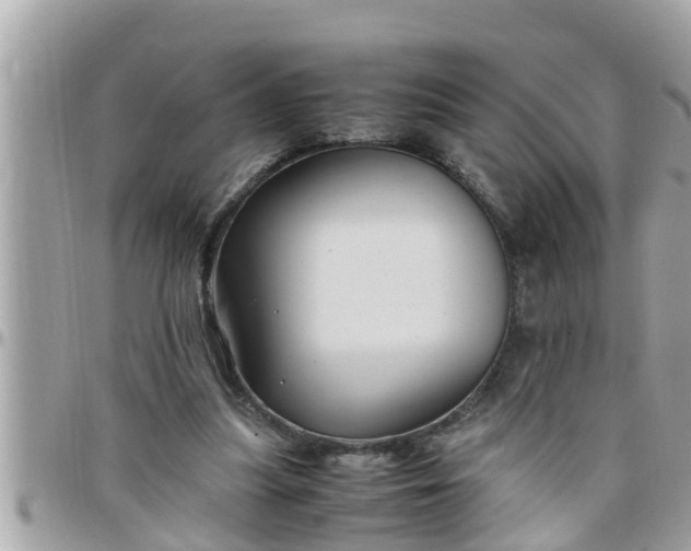 X0000097760251200803211720