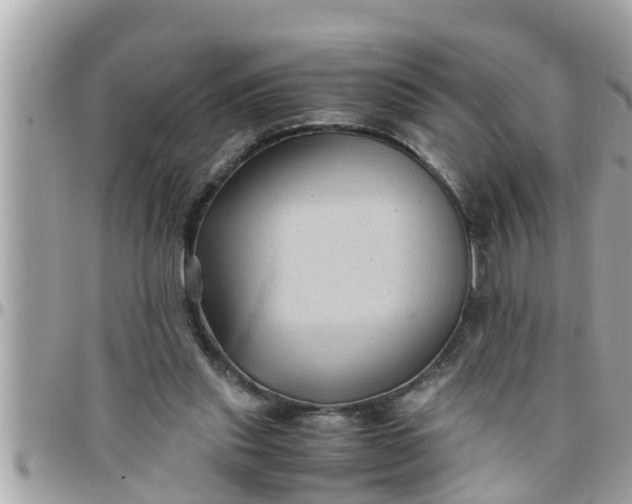 X0000097760253200803211720