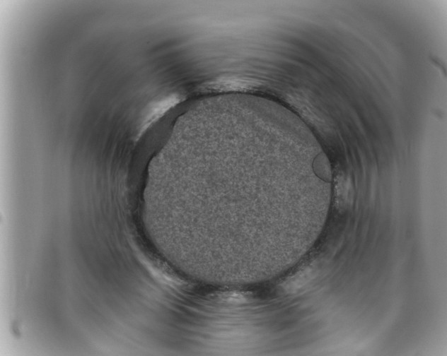 X0000097760254200803211720