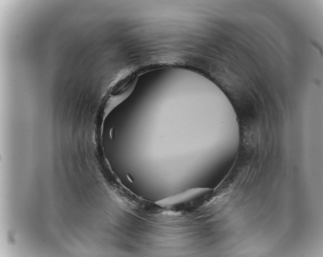 X0000097760256200803211720