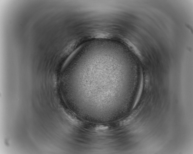 X0000097760257200803211720