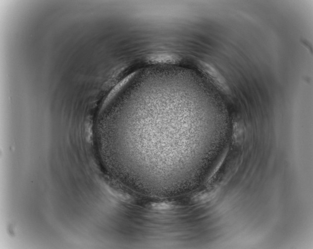 X0000097760259200803211720