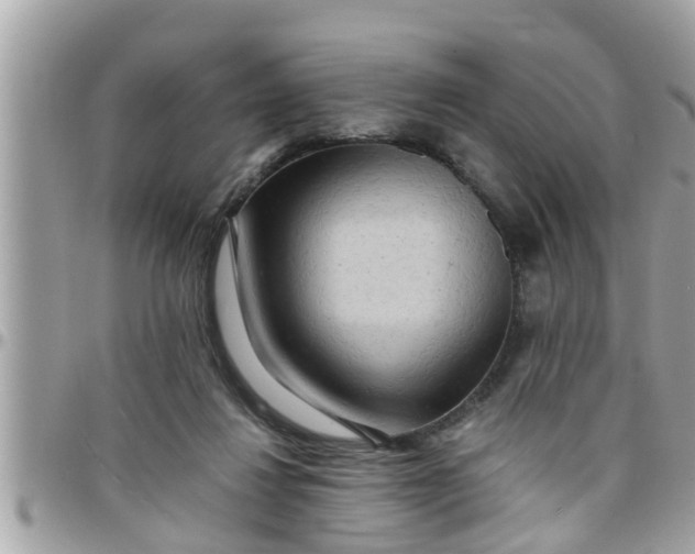 X0000097760260200803211720