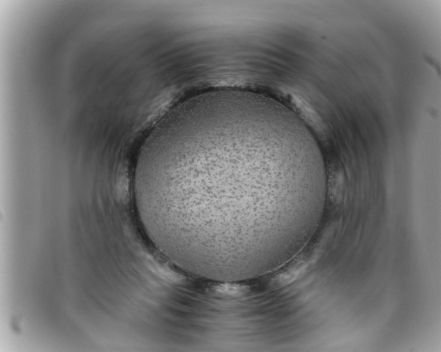 X0000097760261200803211720