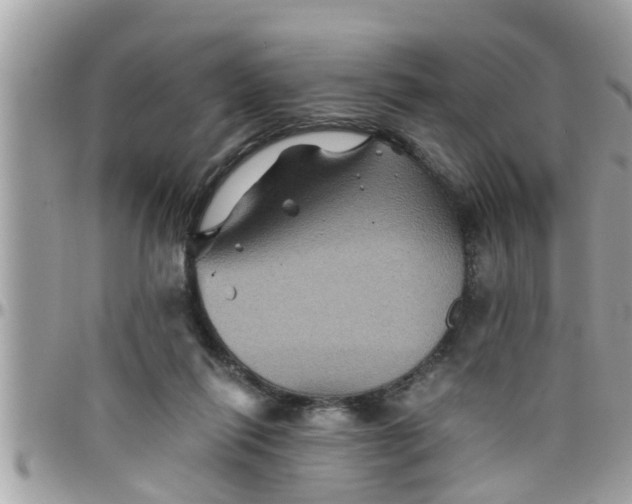 X0000097760262200803211720