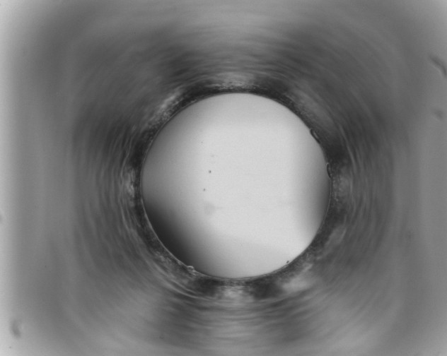 X0000097760264200803211720