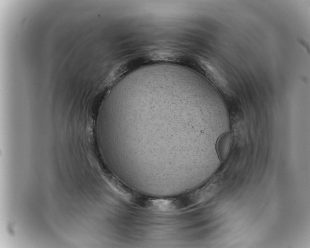 X0000097760265200803211720