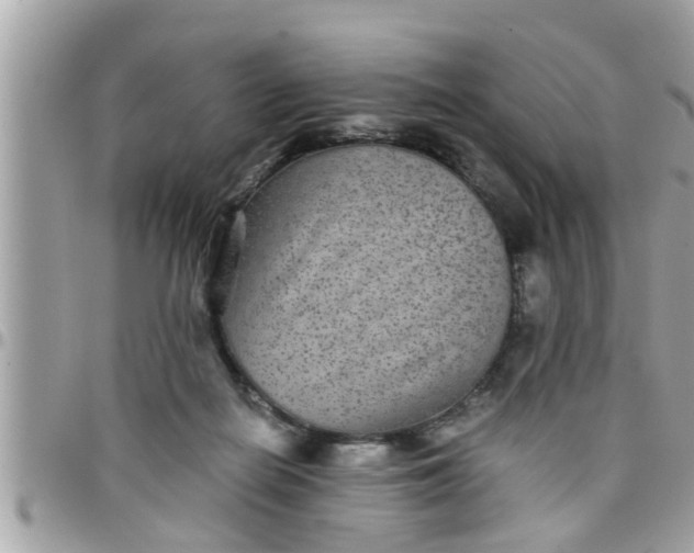 X0000097760266200803211720