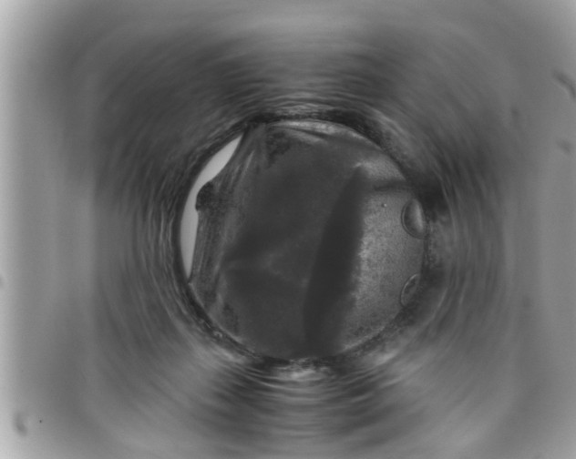 X0000097760267200803211721