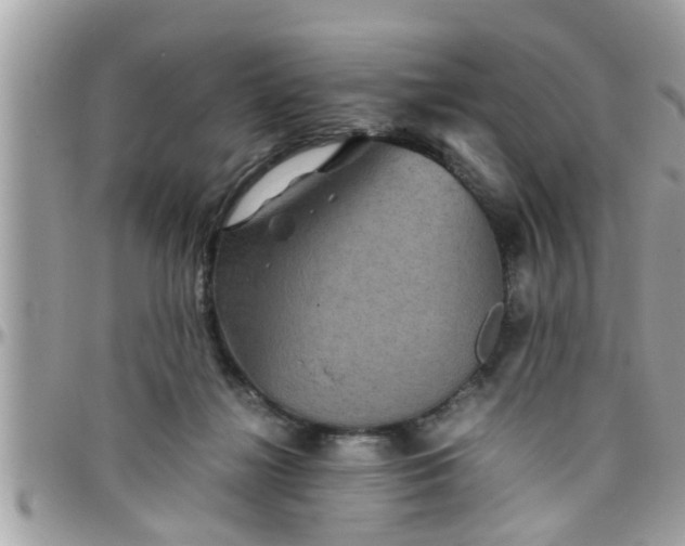 X0000097760268200803211721