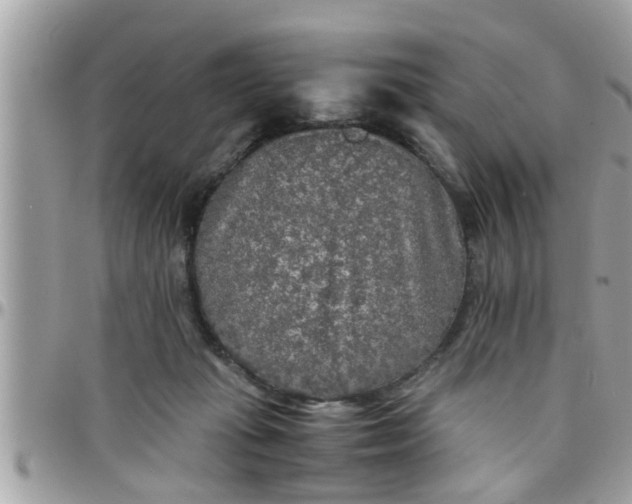 X0000097760269200803211721