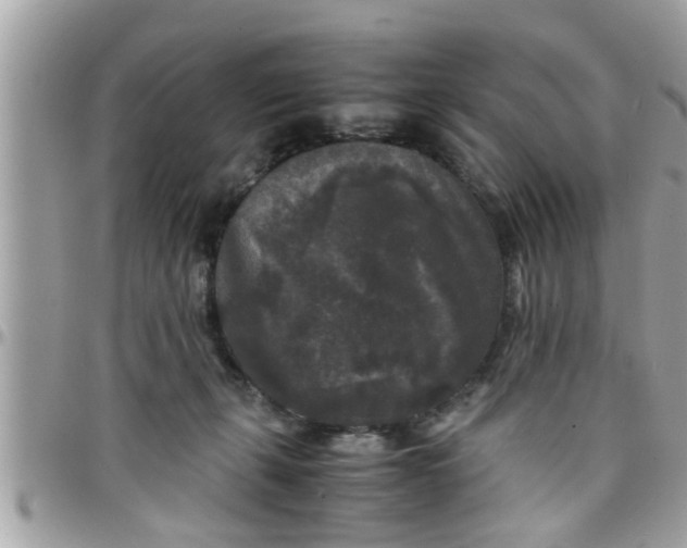 X0000097760271200803211721