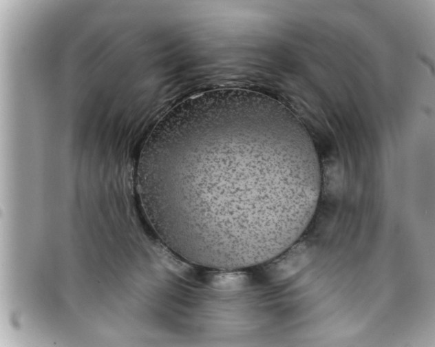 X0000097760274200803211721