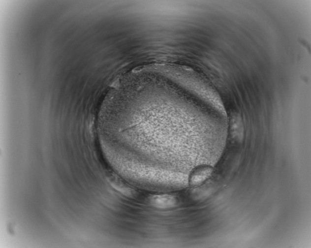 X0000097760275200803211721