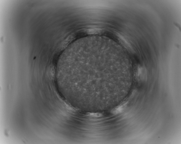 X0000097760277200803211721