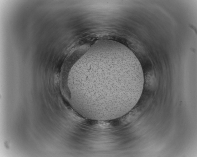 X0000097760278200803211721