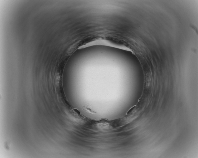 X0000097760279200803211721