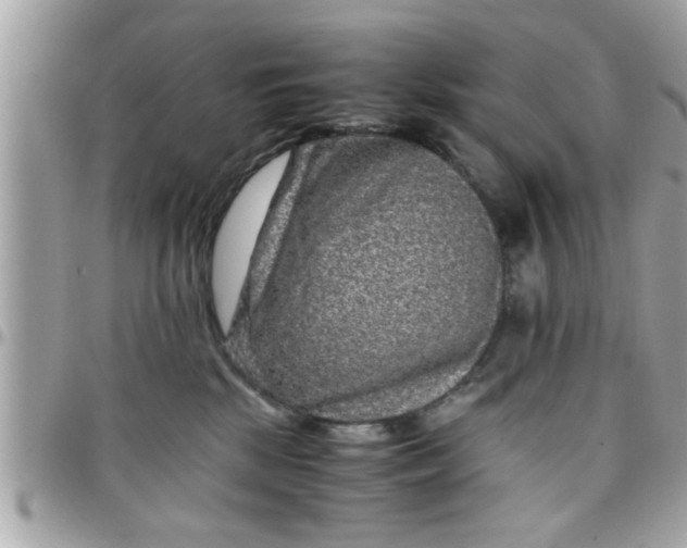 X0000097760281200803211721