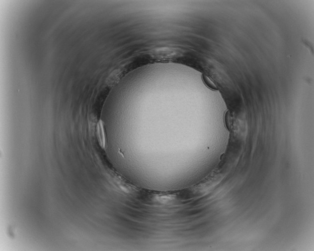 X0000097760283200803211721