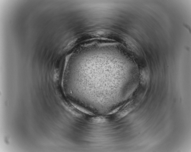 X0000097760284200803211721