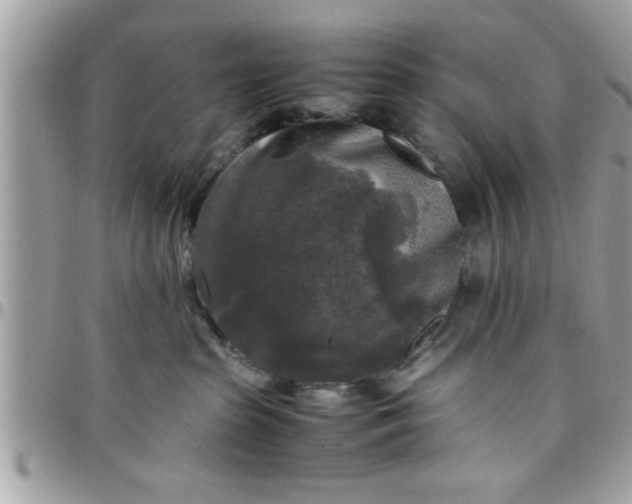 X0000097760285200803211721