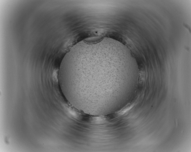 X0000097760286200803211721