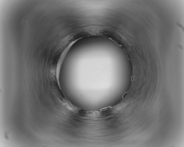 X0000097760288200803211721