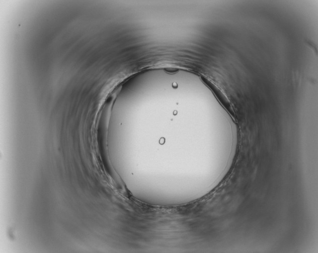 X0000097760289200803211720