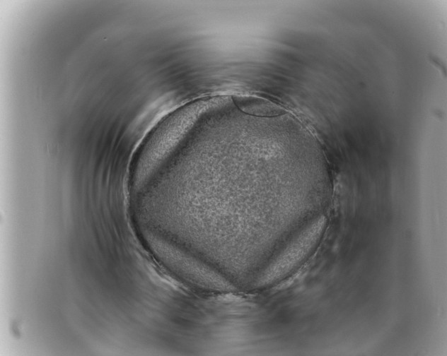 X0000097760290200803211720