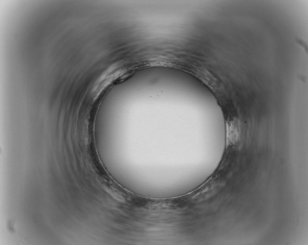 X0000097760291200803211720