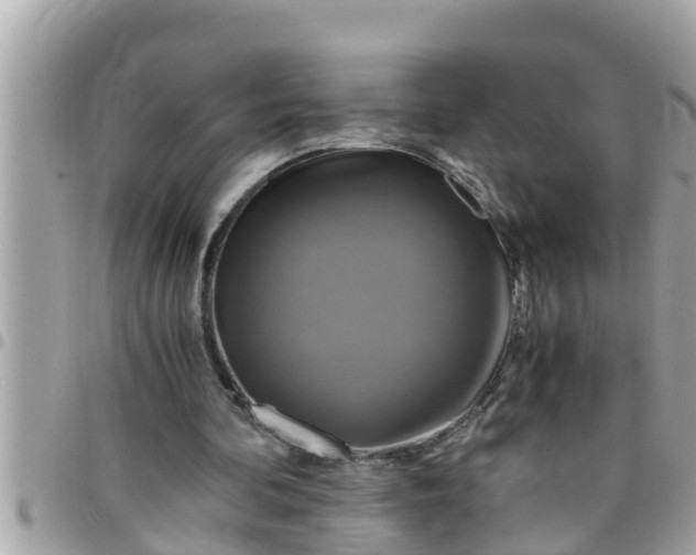 X0000097760292200803211720