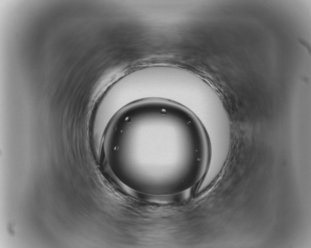 X0000097760293200803211720