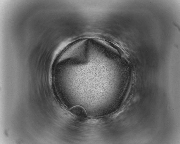 X0000097760294200803211720