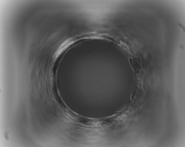 X0000097760295200803211720