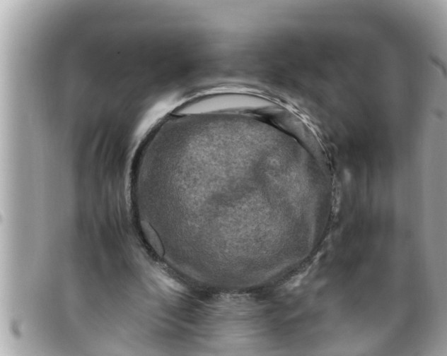 X0000097760296200803211720