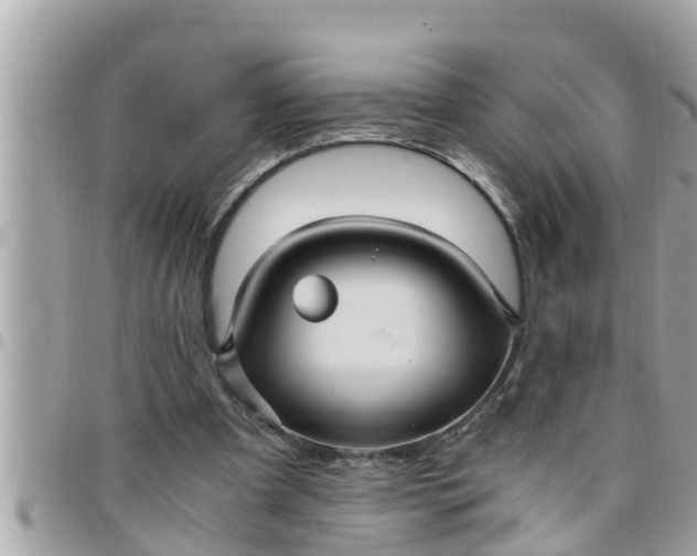 X0000097760297200803211720